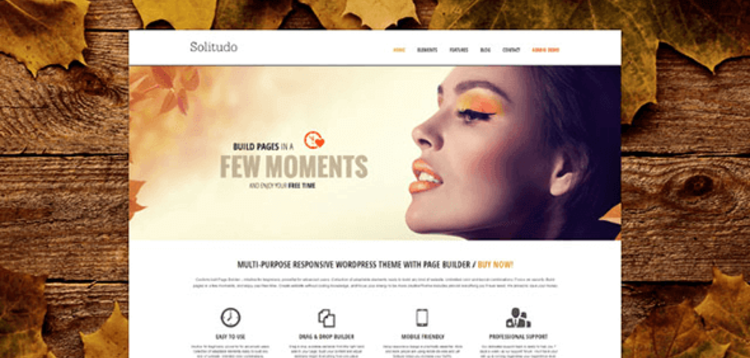 Item cover for download SOLITUDO – RESPONSIVE MULTI-PURPOSE THEME