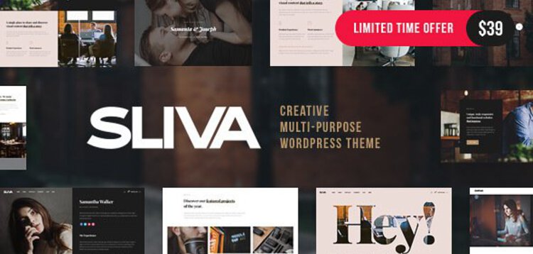 Item cover for download SLIVA - RESPONSIVE MULTI-PURPOSE THEME