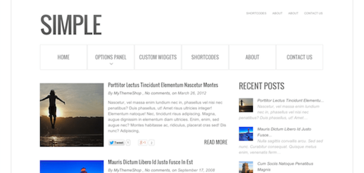 Item cover for download SIMPLE – FLUID LAYOUT, HTML5, CSS3, RESPONSIVE WORDPRESS THEME