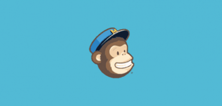Item cover for download PROFILE BUILDER – MAILCHIMP ADD-ON