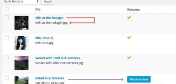 Item cover for download MEOW APPS – MEDIA FILE RENAMER PRO