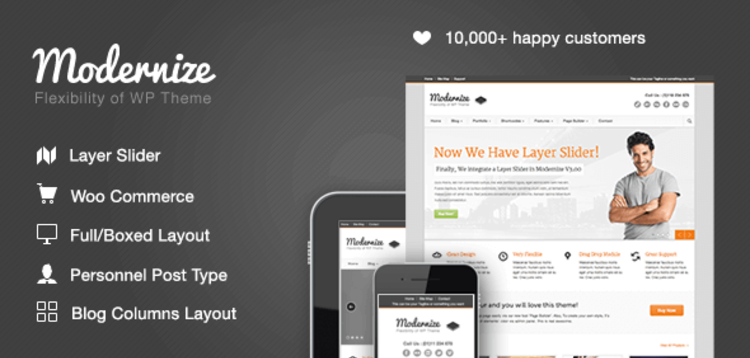 Item cover for download MODERNIZE – FLEXIBILITY OF WORDPRESS
