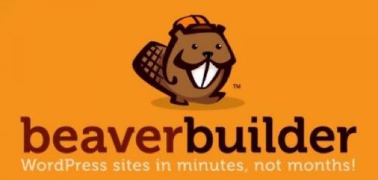 Item cover for download Beaver Lodge Modules v