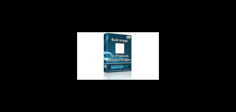 Item cover for download Bulk Image for Products without Images - Display no_image.jpg