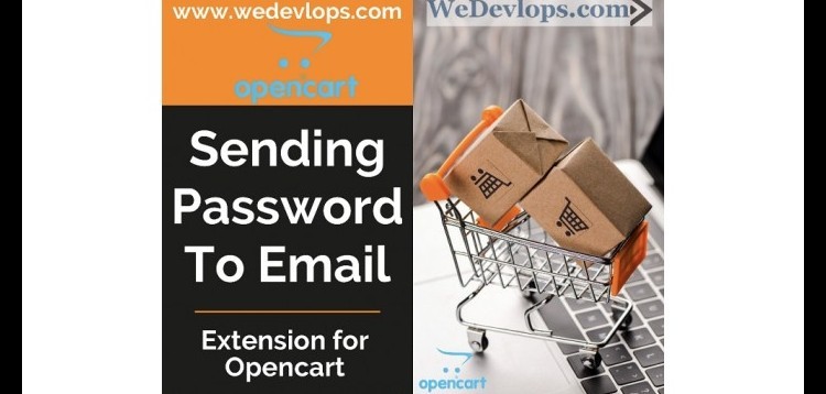 Item cover for download Sending Password to Email in Registration