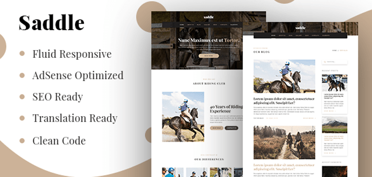 Item cover for download MyThemeShop Saddle WordPress Theme