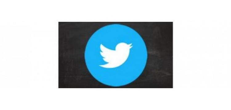 Item cover for download Flying Twitter OpenCart