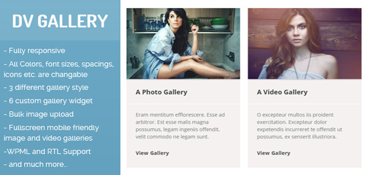 Item cover for download DV Gallery - Responsive Wordpress Gallery Plugin
