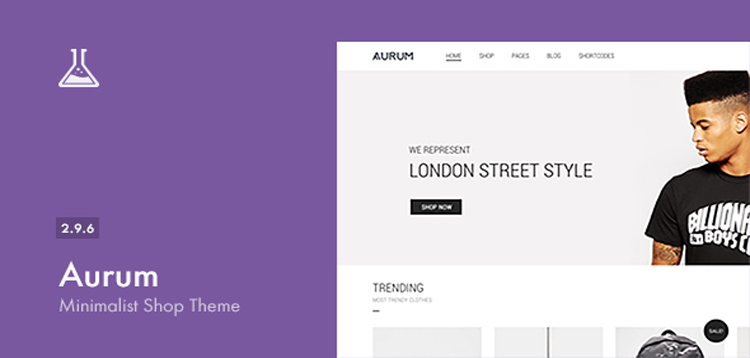 Item cover for download Aurum - Minimalist Shopping Theme