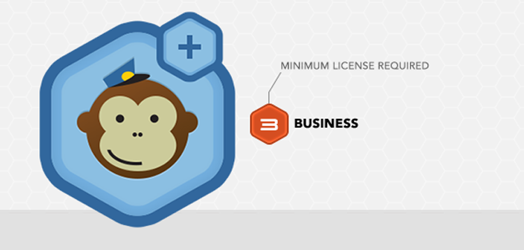 Item cover for download Gravity Forms MailChimp Add-On