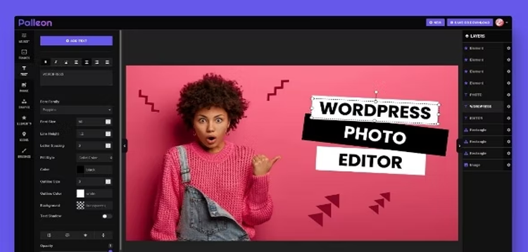 Item cover for download Palleon - WordPress Image Editor