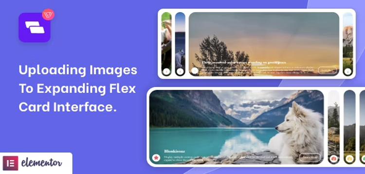Item cover for download Wiloke Expanding Flex Cards Elementor Addon