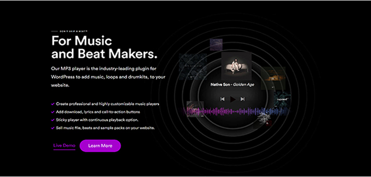Item cover for download MP3 Player PRO