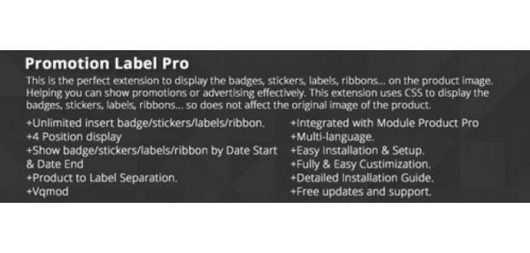 Item cover for download Promotion Label Pro
