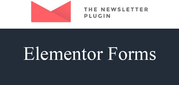 Item cover for download Newsletter Elementor Forms