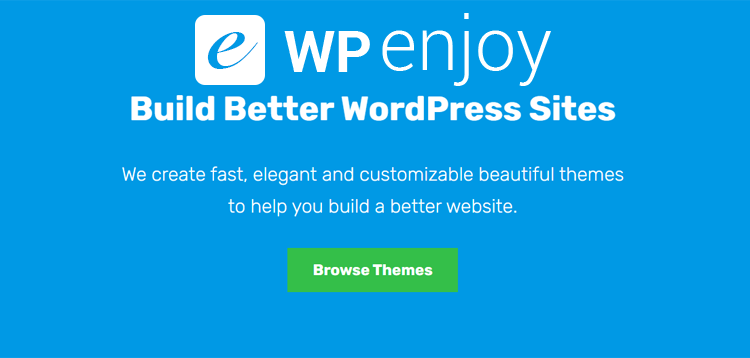 Item cover for download WPEnjoy EnjoyVideo Pro