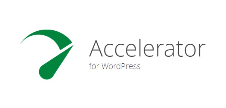 Item cover for download Seraphinite Accelerator (Full)