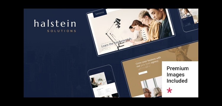 Item cover for download Halstein - Business Consulting