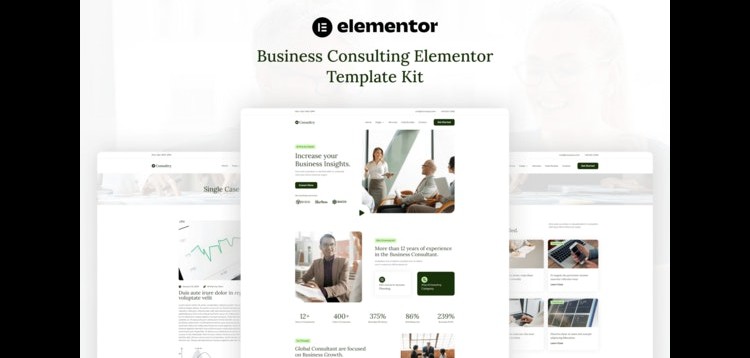 Item cover for download Consultry - Business Consulting Elementor Template Kit