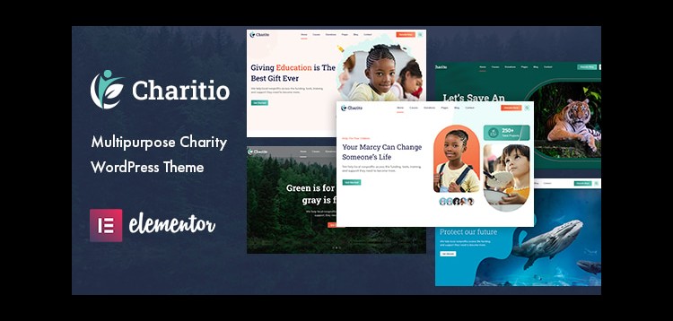 Item cover for download Charitio - Multipurpose Charity WordPress Theme